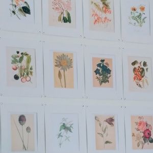 Meet your Posher, Jaclyn